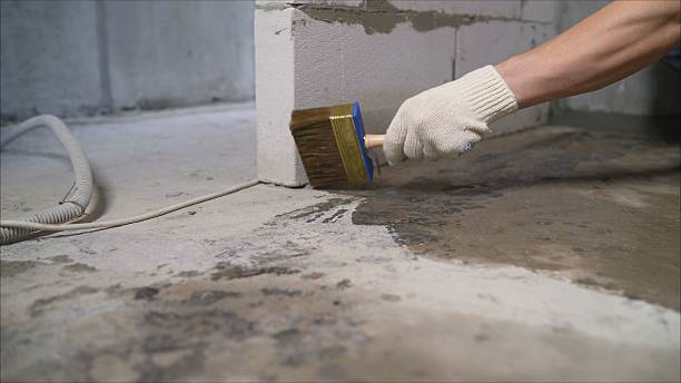 SJ Waterproofing Pros Waterproofing coverage map for Wyandotte, MI and surrounding area